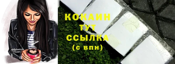 меф Арсеньев