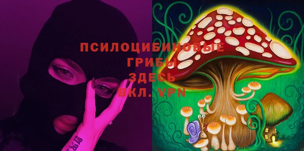круглые Алексеевка